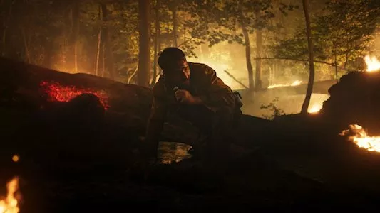 Image Wolf Pack 1
