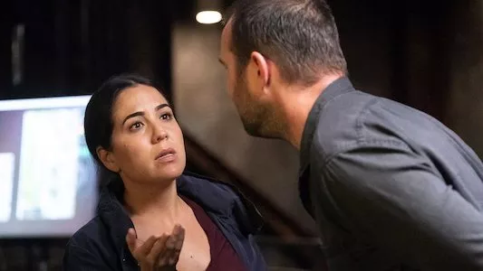 Image Blindspot 3