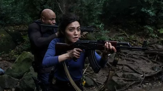 Image NCIS Hawaii 5
