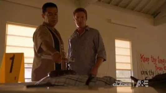 Image The Glades 8